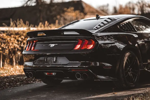 PlaySunny Casino App Android/iOS